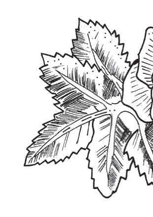 subchapter illustration