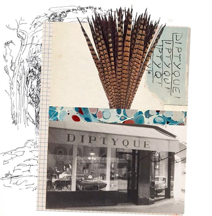 diptyque secret illustration