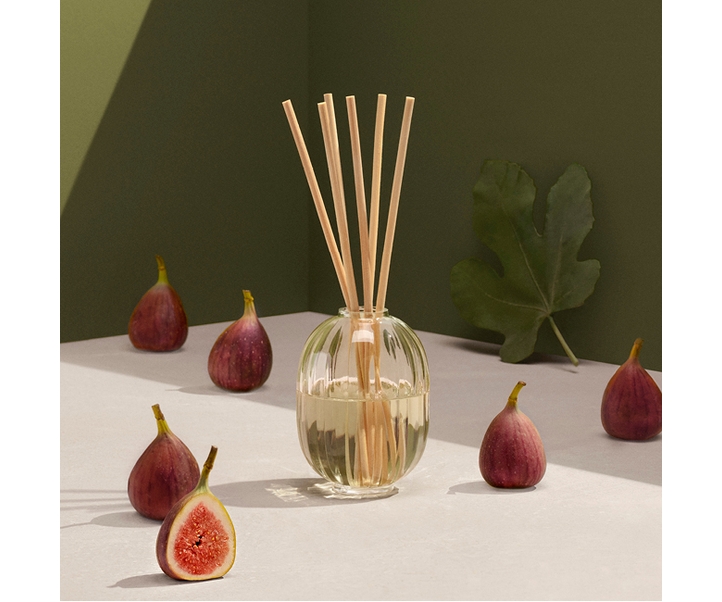 Figuier (Fig Tree) - Home Fragrance Diffuser