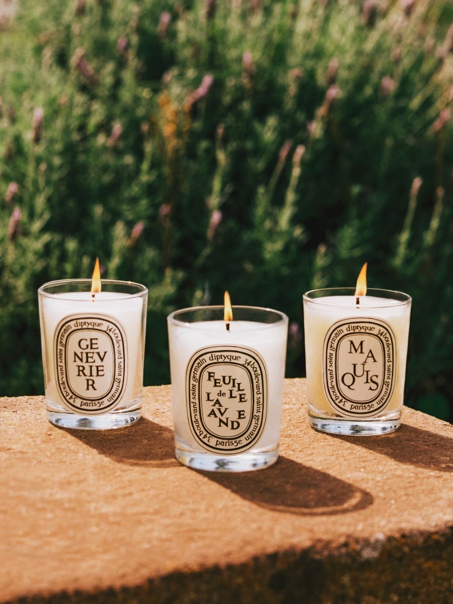 Maquis (Scrub) - Classic Candle Classic | Diptyque Paris