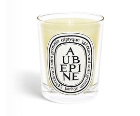 Aubépine (Hawthorn) - Classic Candle