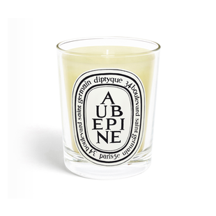 Aubépine (Hawthorn) - Classic Candle