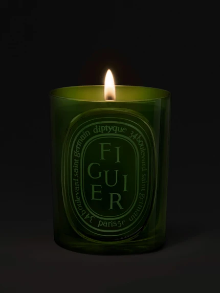 Figuier (Fig Tree) - Medium Candle