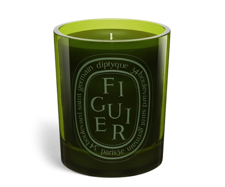 Figuier (Fig Tree ) - Medium candle