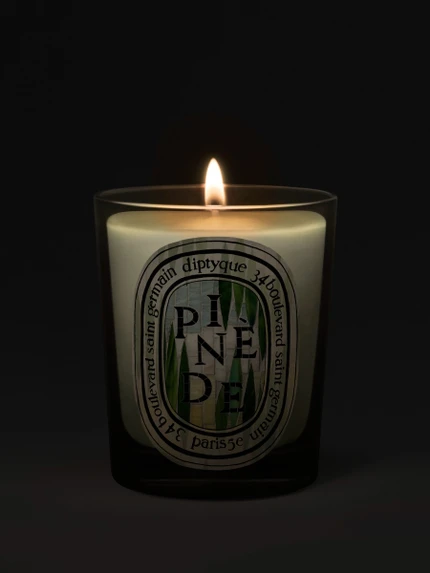 Pinède (Pine Grove) - Classic Candle