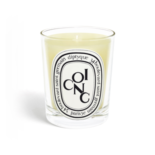 Coing /Quince  candle 190G