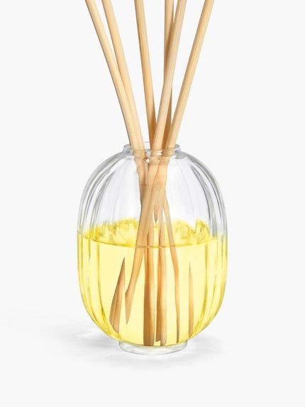 Citronnelle (Lemongrass) - Home Fragrance Diffuser