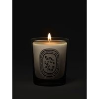 Feuille de Lavande / Lavender Leaf small candle 70G