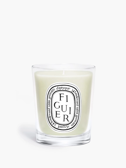 Figuier (Fig Tree) - Small candle