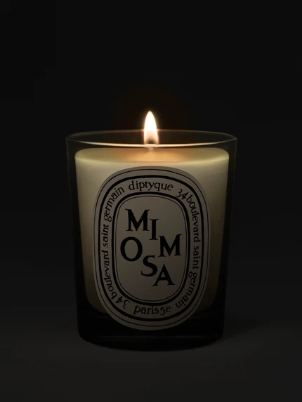 Mimosa - Candela classica
