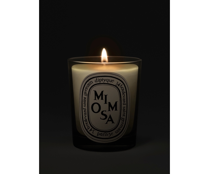 Mimosa candle