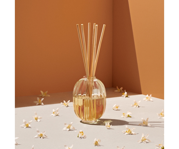 Fleur d'Oranger - Diffuseur de parfum d'intérieur