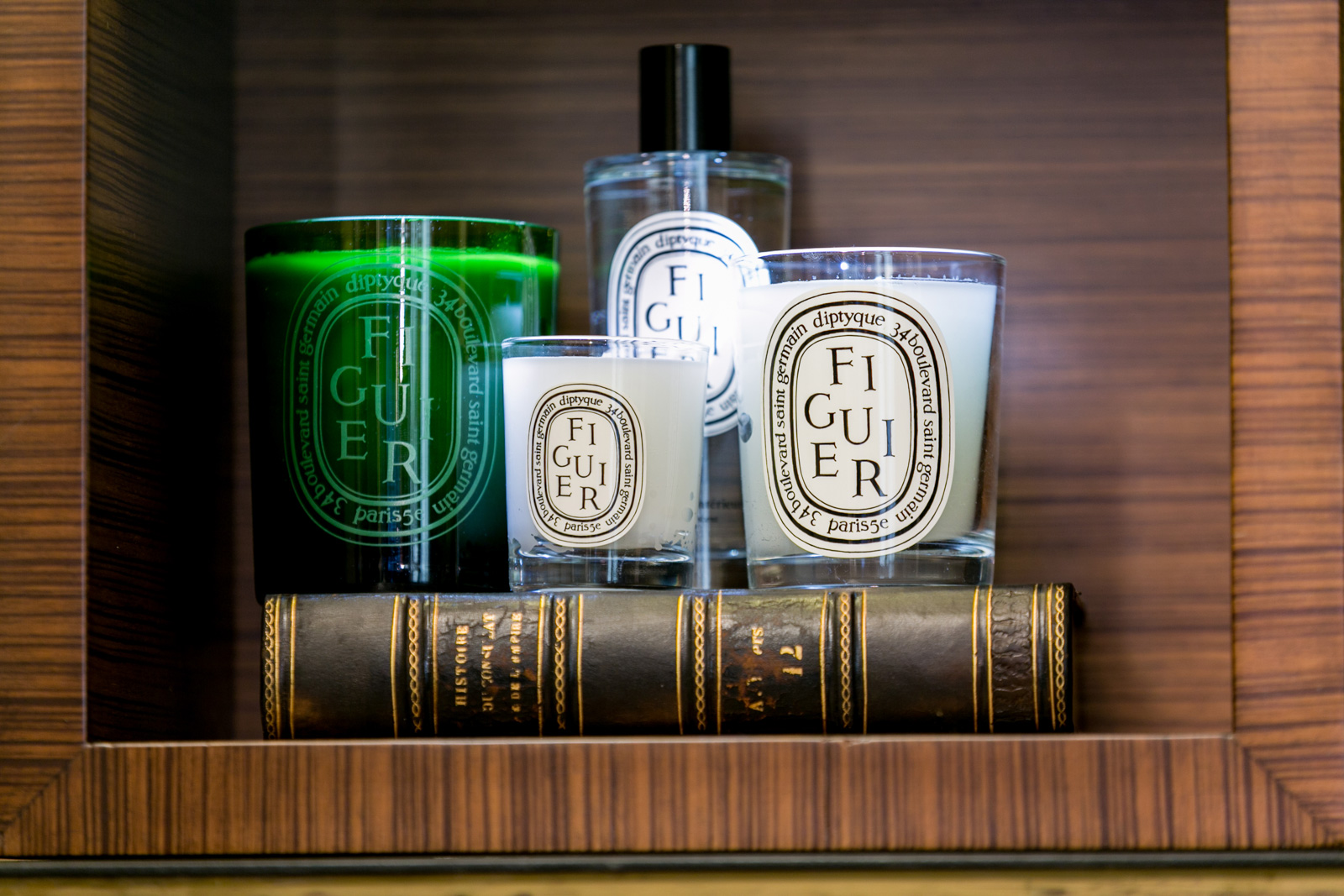 Figuier (Fig Tree) - Medium candle Medium | Diptyque Paris