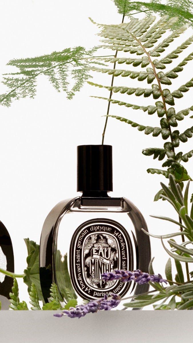 [国内正規品] diptyque オードミンテ 75ml オードパルファム diptyque ディプティック DIPTYQUE オードミンテ EDP 75ml
