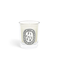 Figuier / Fig Tree Small Candle 70G