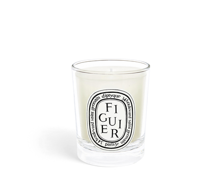 Figuier (Fig Tree ) - Small candle