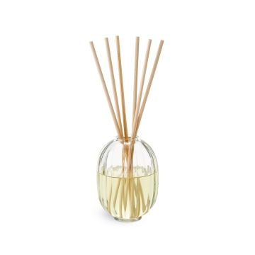 Figuier (Fig Tree ) - Home Fragrance Diffuser