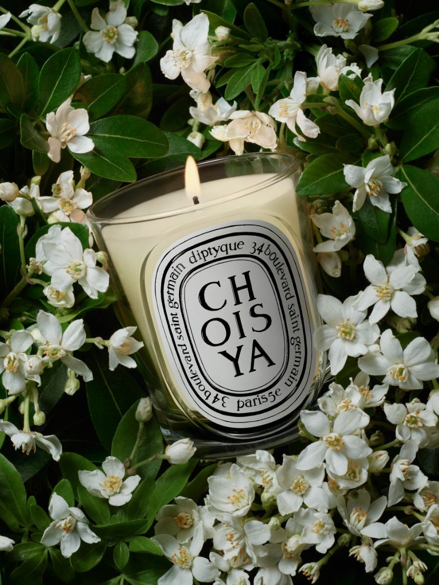 Choisya（ショワジャ） - クラシックキャンドル | Diptyque Paris