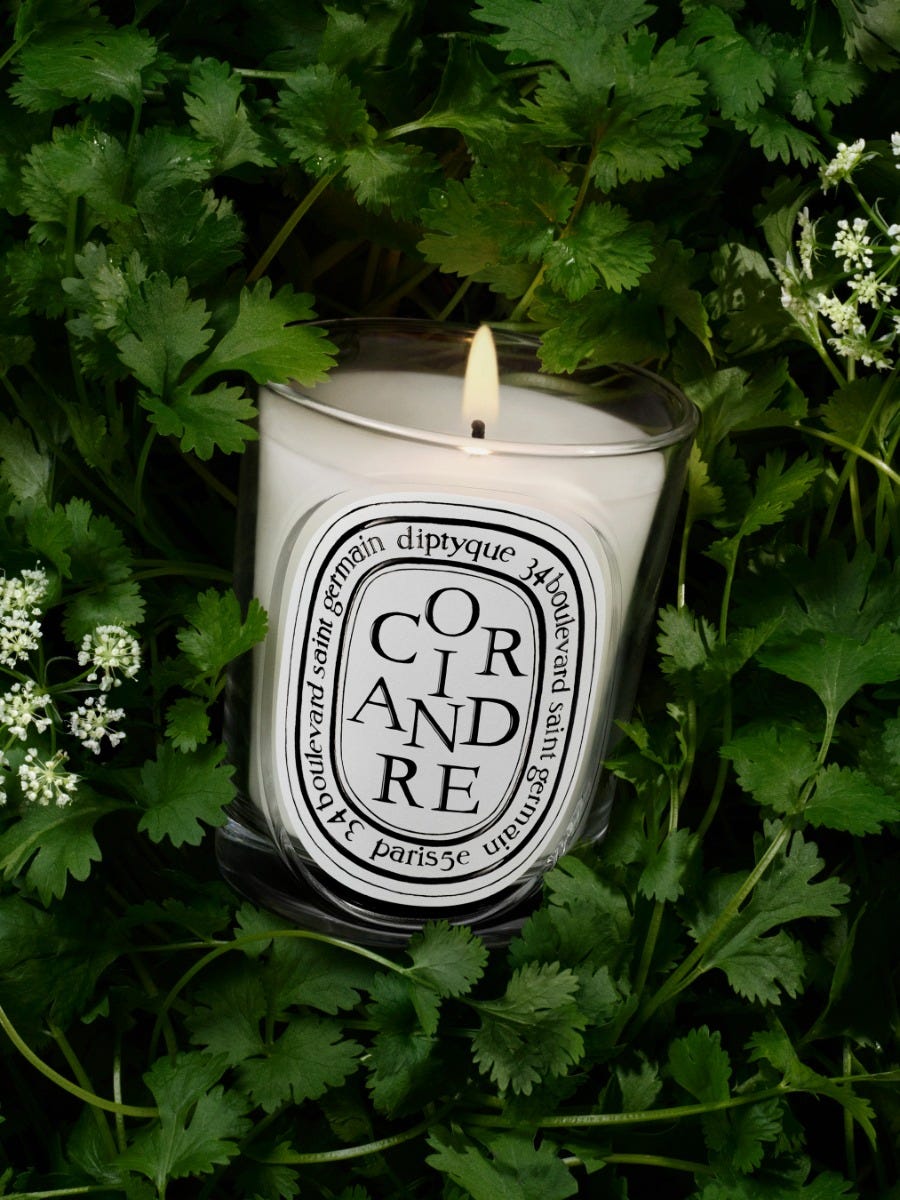Coriandre (Coriander) - Classic candle | Diptyque Paris