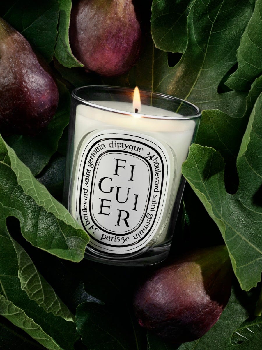 Figuier (Fig Tree) - Refill for classic candles | Diptyque Paris