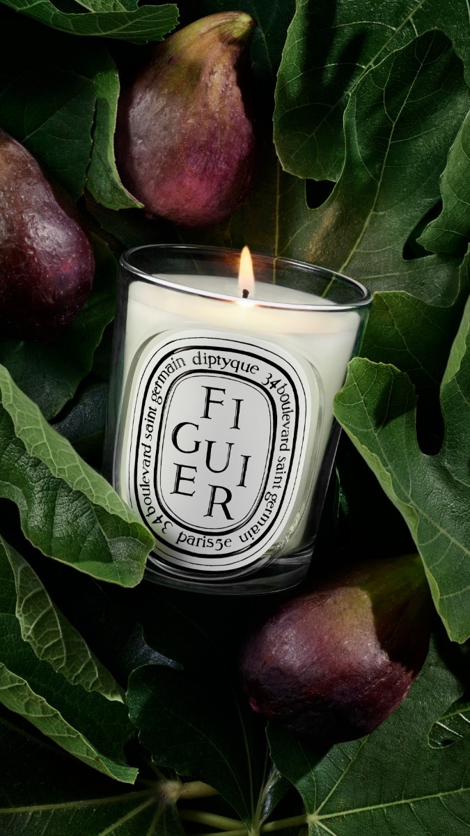 Figuier (Fig Tree) - Classic candle | Diptyque Paris