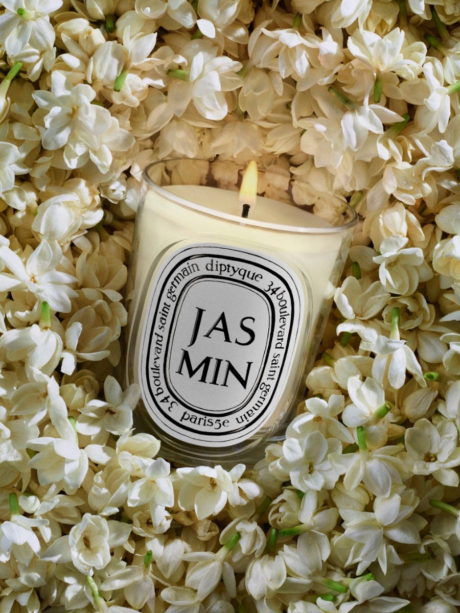 Jasmin（ジャスミン） - クラシックキャンドル | Diptyque Paris