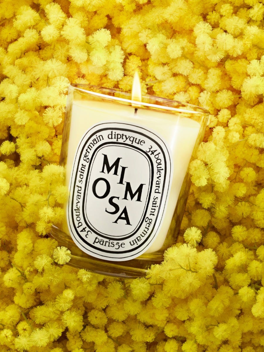 Mimosa (ミモザ) - クラシックキャンドル | Diptyque Paris
