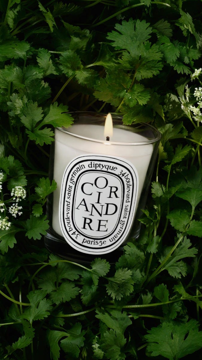 DIPTYQUE キャンドル フリアンディーズ DIPTYQUE キャンドル フリアンディーズ - メルカリ