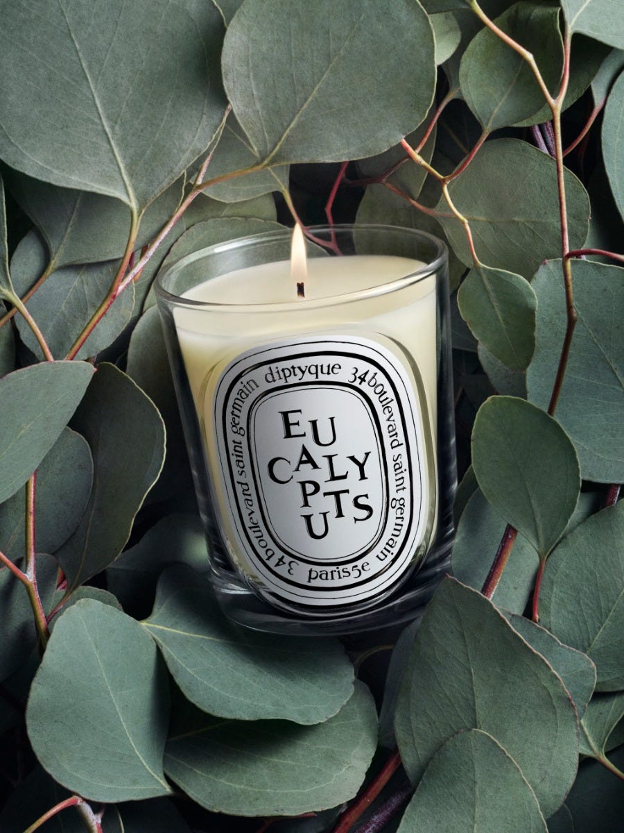 アロマグッズ diptyque Eucalyptus - Classic candle | Diptyque Paris