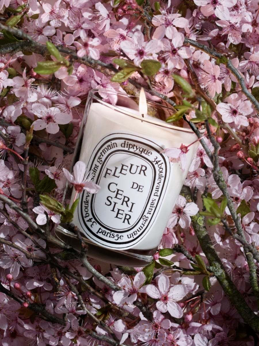 大学生協のスーツ提携店割引 Fleur candle Classic - Blossom) (Cherry Cerisier de アロマグッズ