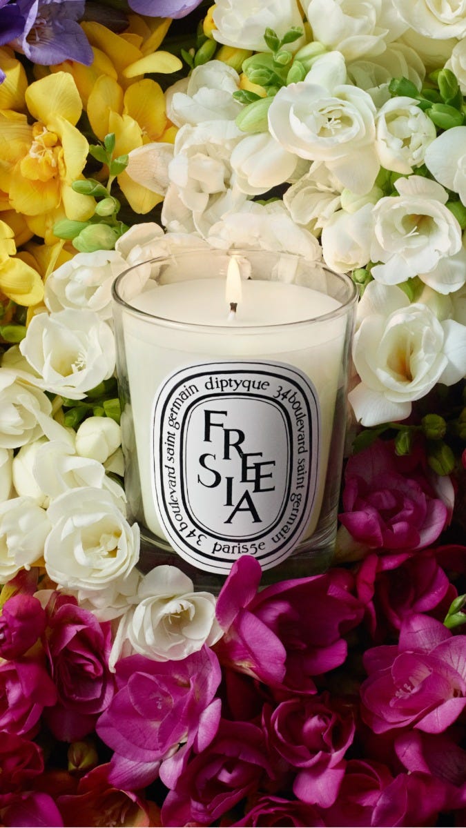 新品　diptyqueディプティック　キャンドル　２個セット　フリージア　バジル 新品 diptyqueディプティック キャンドル 2個セット フリージア