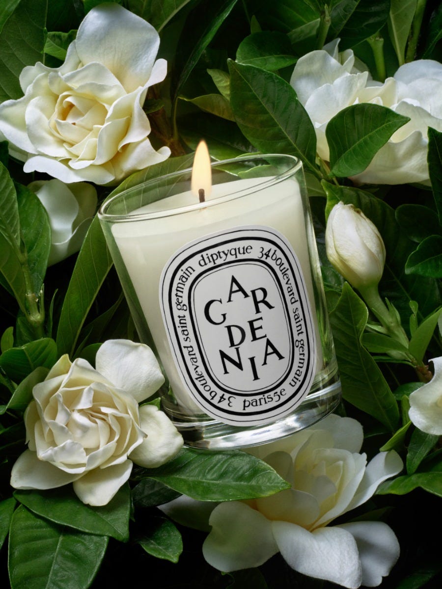 【お取り寄せ】 Gardénia candle | Diptyque Paris アロマグッズ