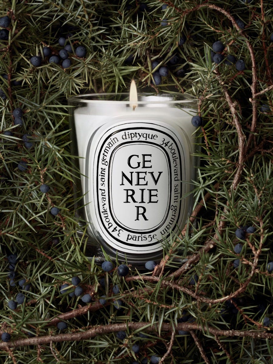 Genévrier (Juniper) - Classic candle | Diptyque Paris