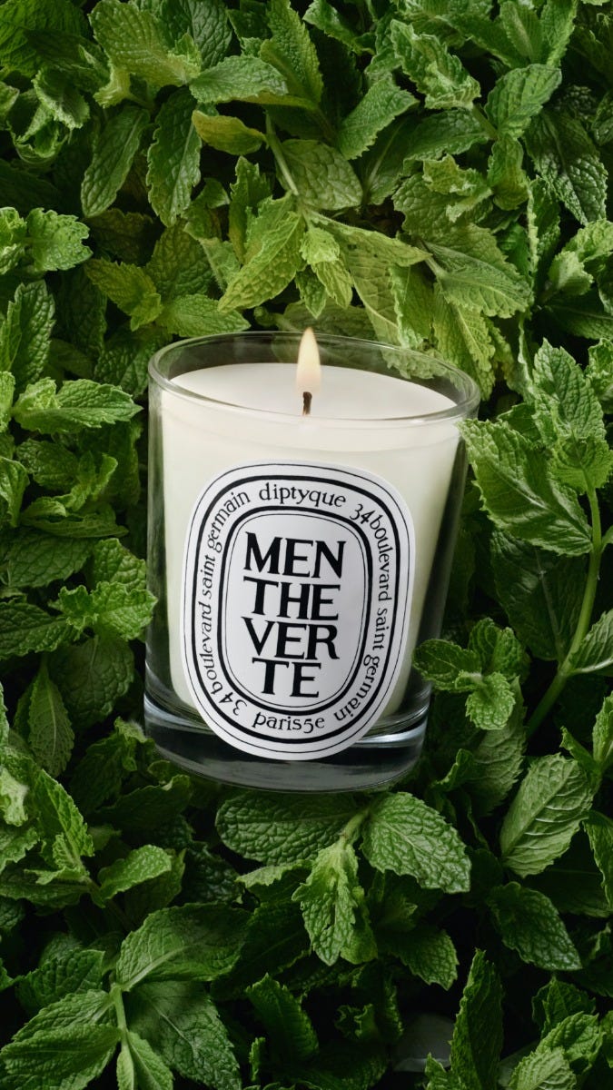 DIPTYQUE ディプティック◉キャンドル アマンド・エクスキューズ 190g クラシック キャンドル マント ヴェルト 190g | Diptyque Paris