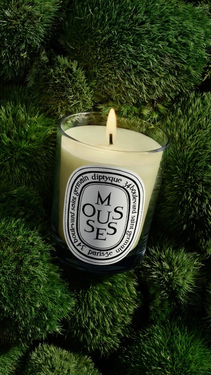 【箱あり】DIPTYQUE キャンドル　MOUSSES（ムース） 190g herbier_visuel_mousse-