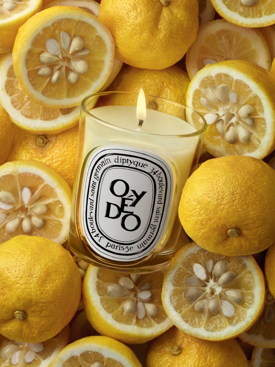 Oyédo - Classic candle | Diptyque Paris