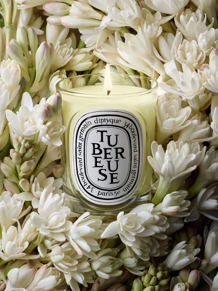 Tubéreuse（テュベルーズ） - クラシックキャンドル | Diptyque Paris