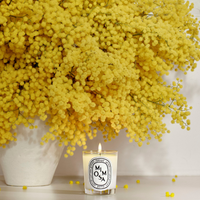 Mimosa small candle