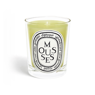Mousses(Moss) - Classic Candle