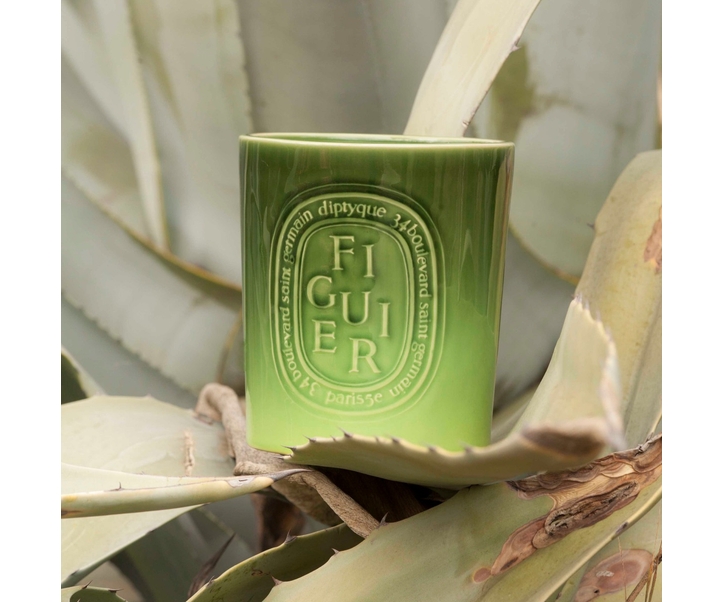 Figuier (Fig Tree) - Extra large candle