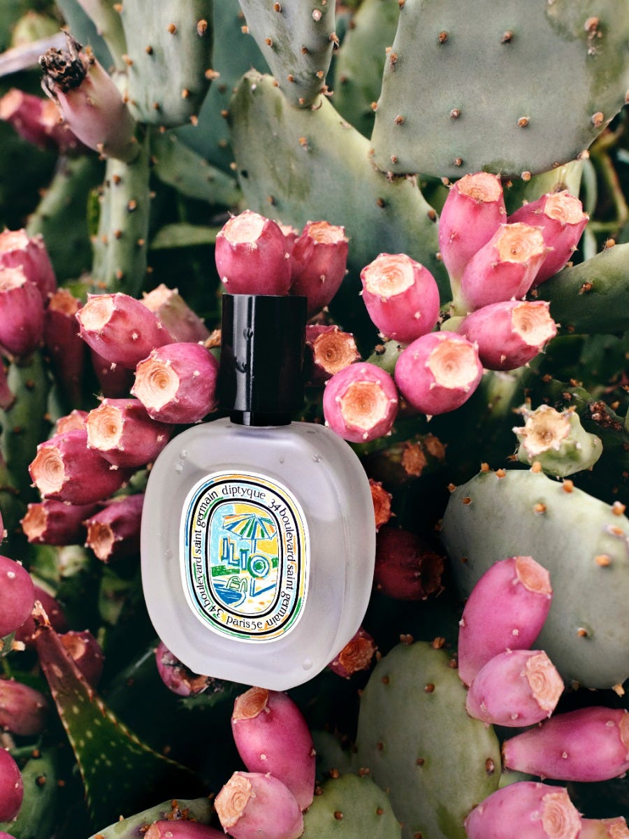 Ilio（イリオ）限定版 - ヘアフレグランス | Diptyque Paris