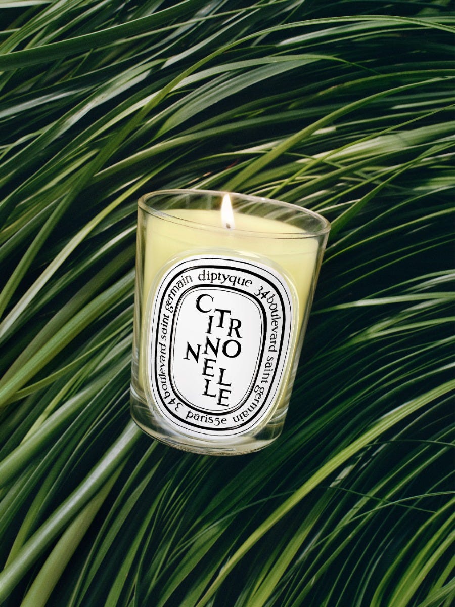 Citronnelle (Lemongrass) - Classic Candle | Diptyque Paris