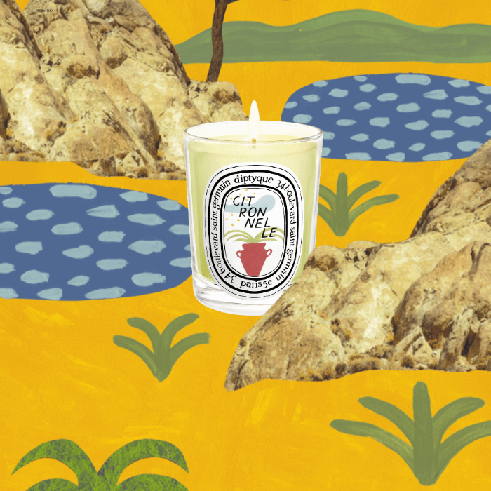 Discover the Citronnelle / Lemongrass Candle