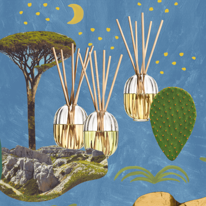 Shop Summer Reed Diffusers
