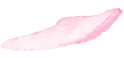 サクラキャンドル