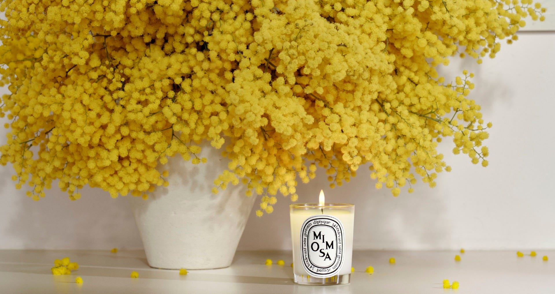 Mimosa（ミモザ） | Collections | Diptyque Paris