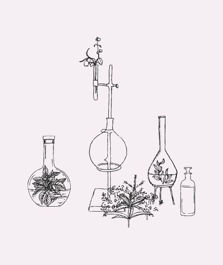 diptyque visual
