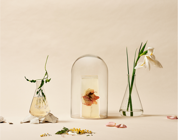 diptyque visual